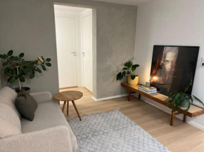 Newly renovated Trondheim apartment